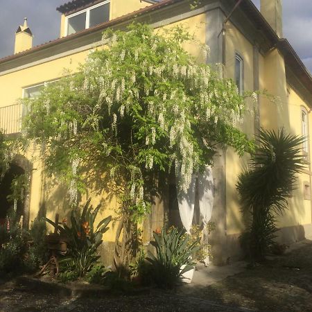 Casa Magnolia Villa Braga Dış mekan fotoğraf