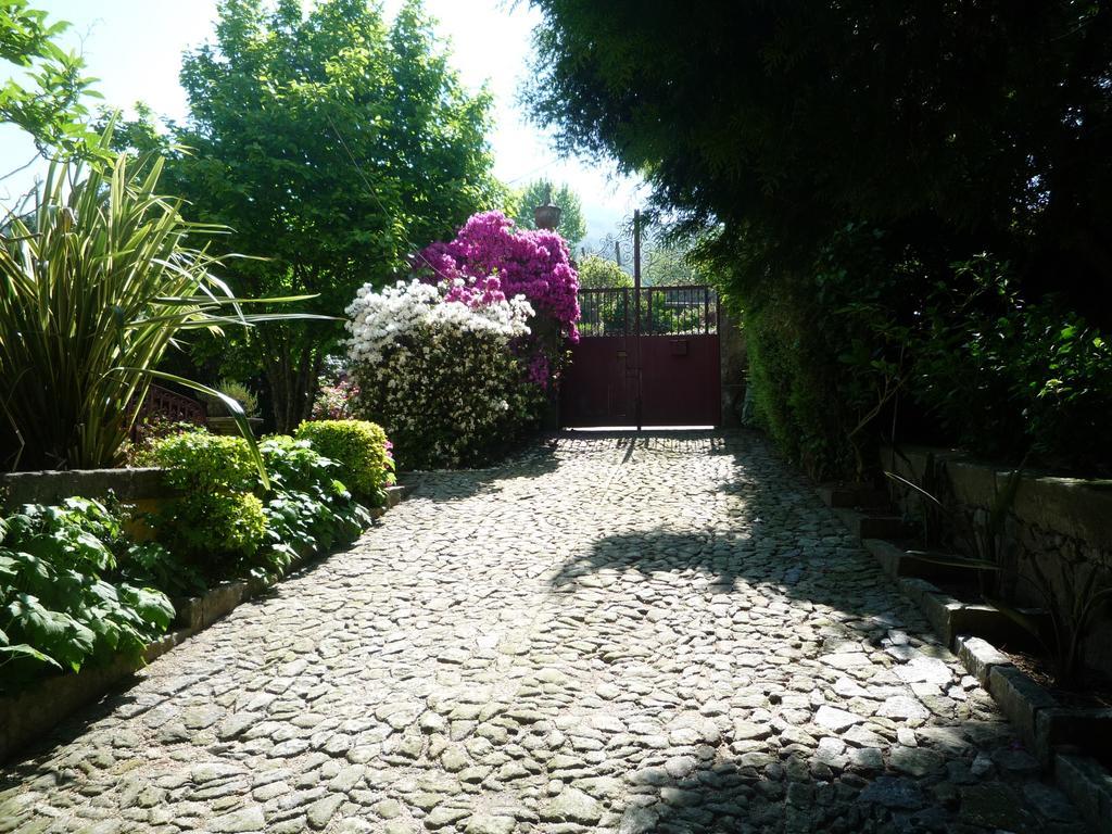 Casa Magnolia Villa Braga Dış mekan fotoğraf