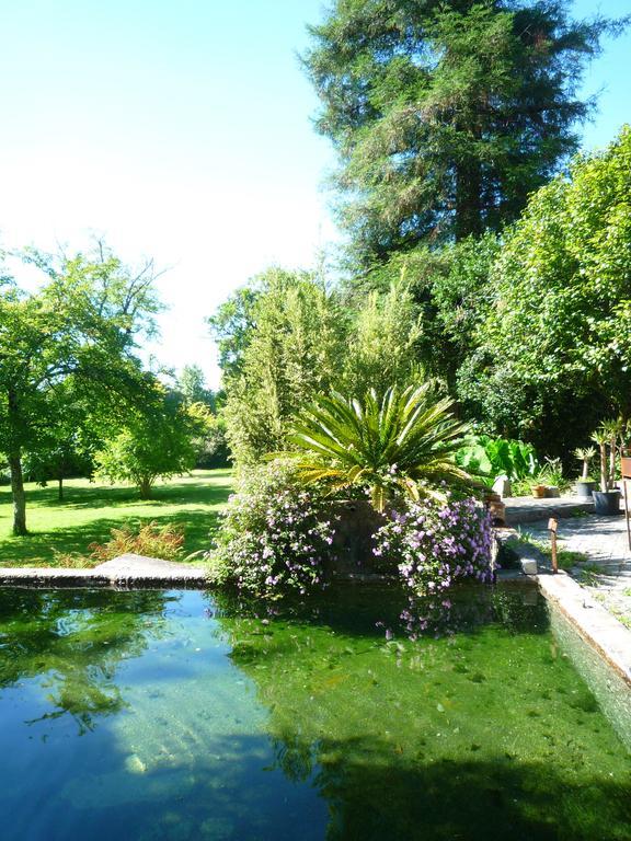 Casa Magnolia Villa Braga Dış mekan fotoğraf